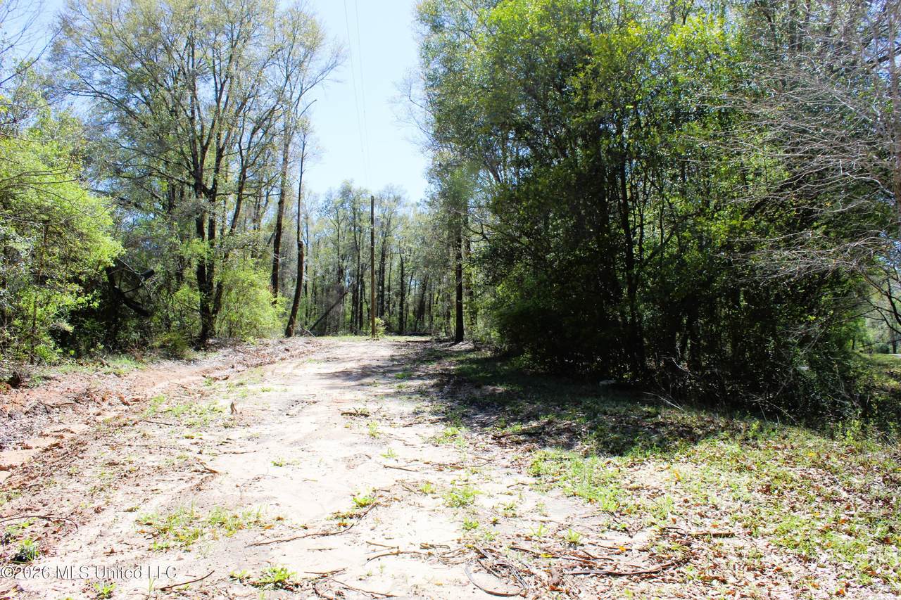 1.7 Acres Oakhaven Drive - Photo 1