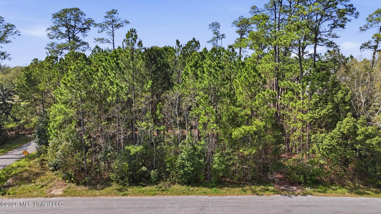 6201 Hermosa Drive - Photo 1