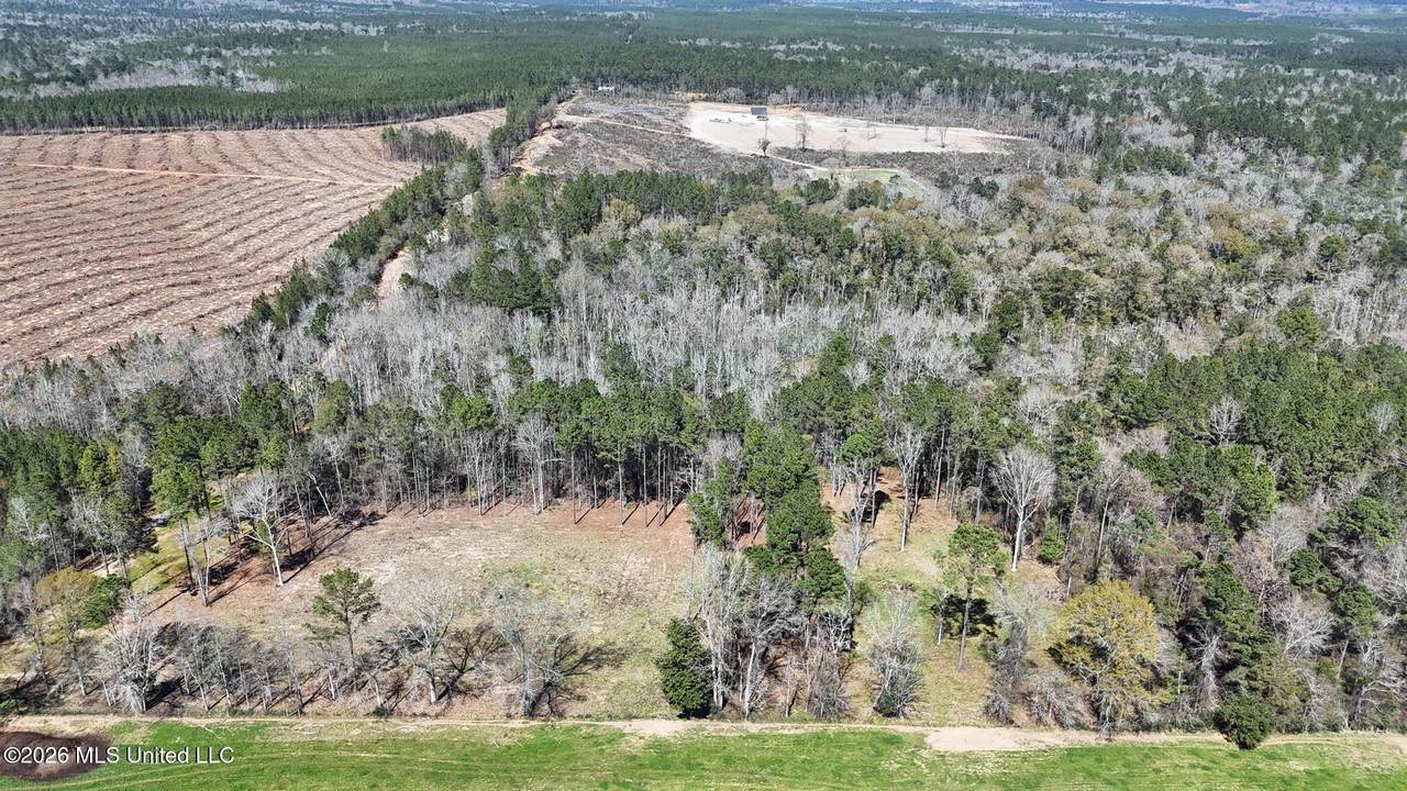 21.8 Acres Flournoy Road - Photo 1