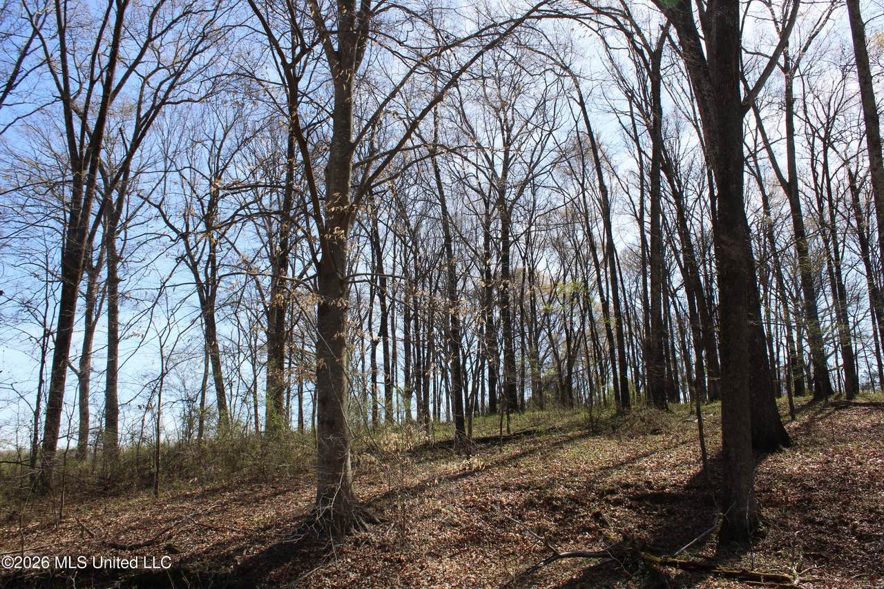 9 Barton Desoto Road - Photo 1