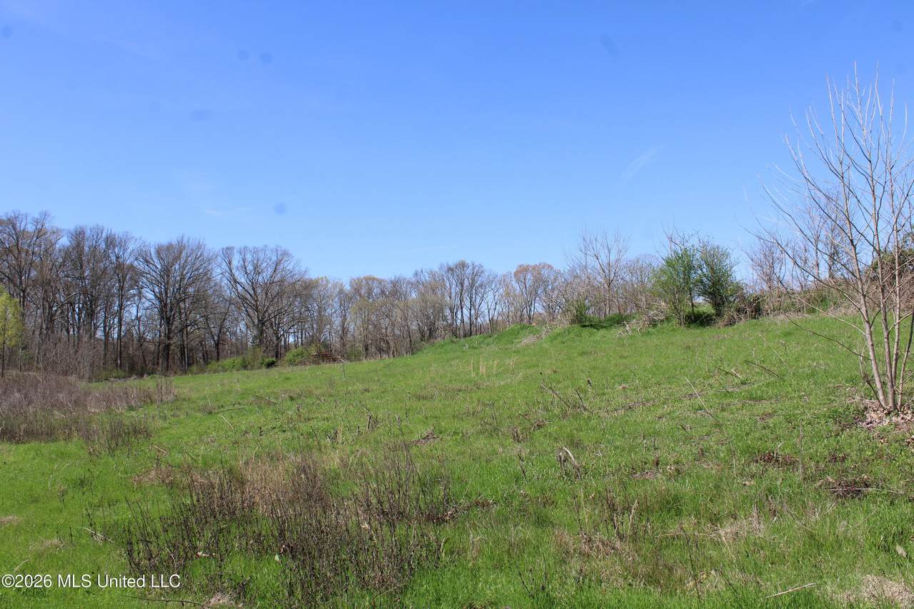 11 Barton Desoto Road - Photo 1