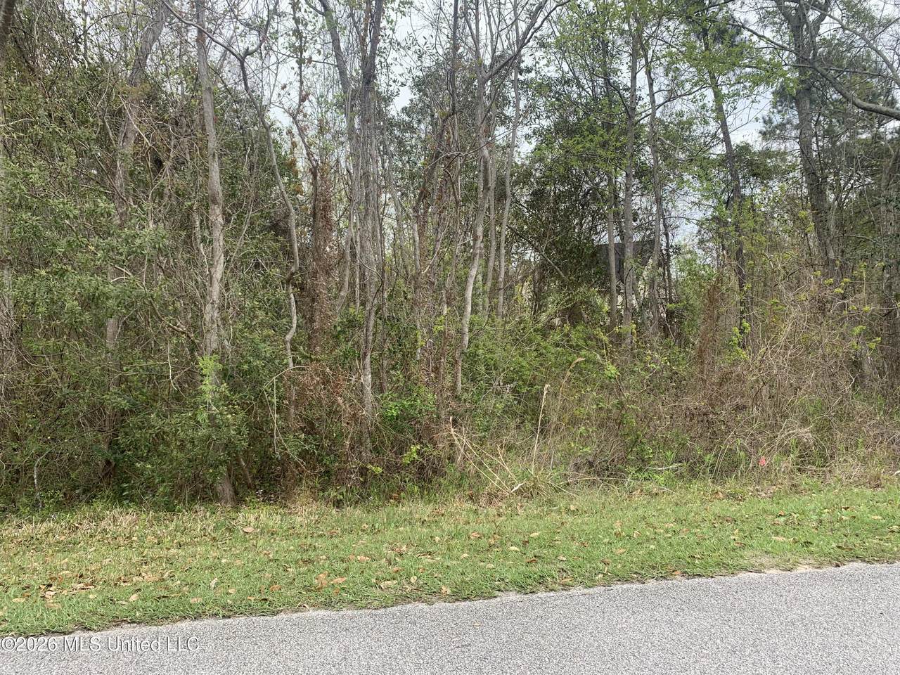 000 Pine Ridge Drive - Photo 1
