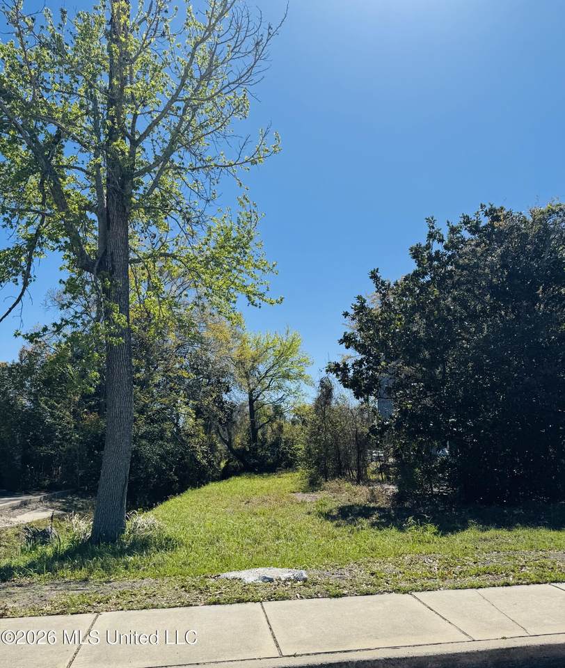 0 Jackson Avenue - Photo 1
