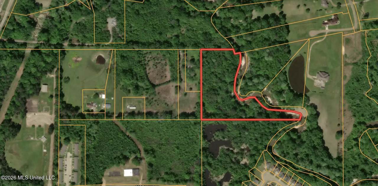 0 Lester Stevens Sr Lane - Photo 1