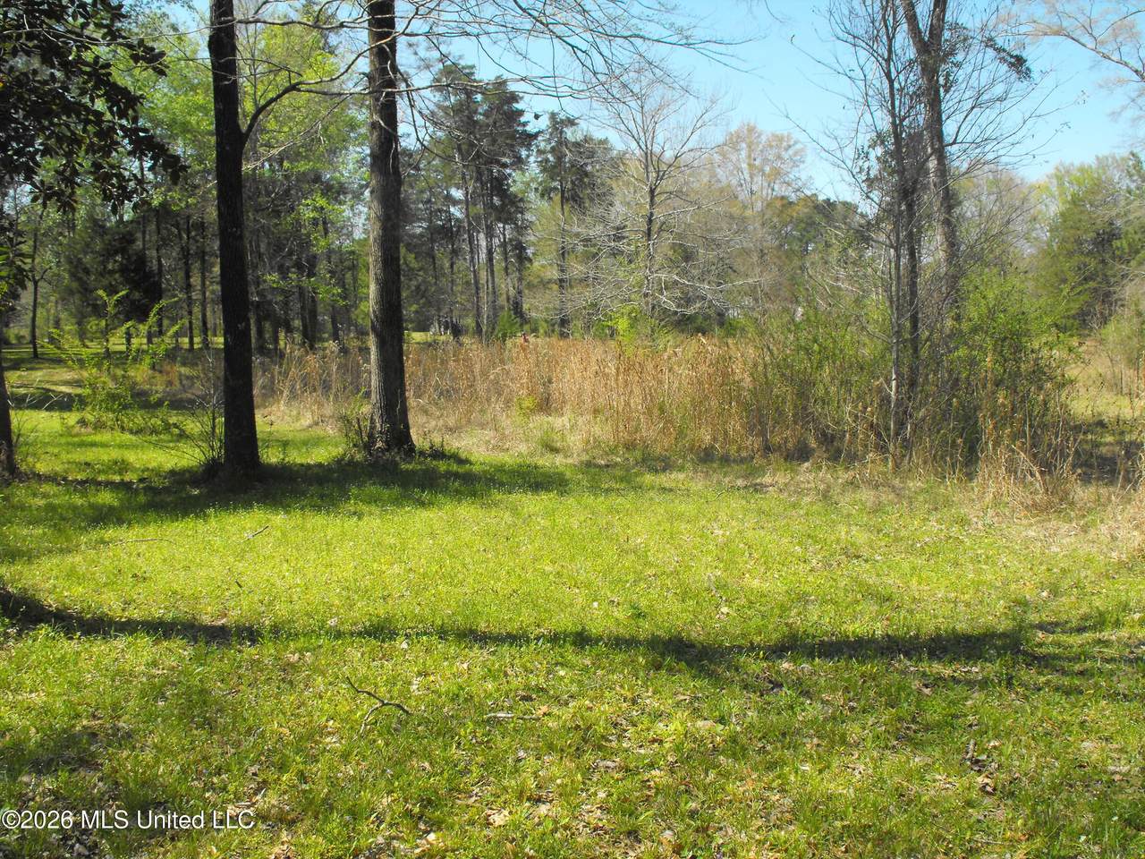 000 Berry Drive - Photo 1