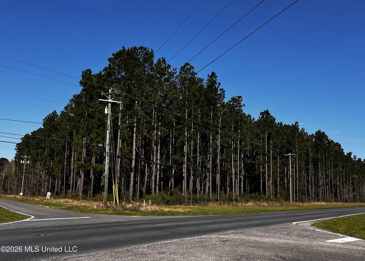  00 Gavin Hamilton Rd - Photo 1
