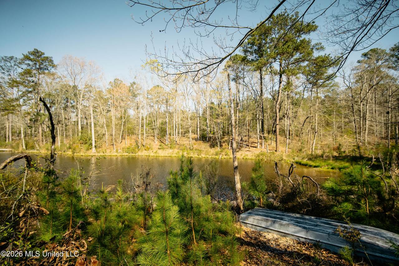 646 Harrisville Road - Photo 1