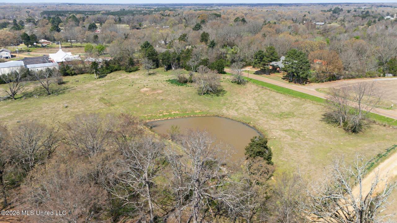 392 Sycamore Road - Photo 1