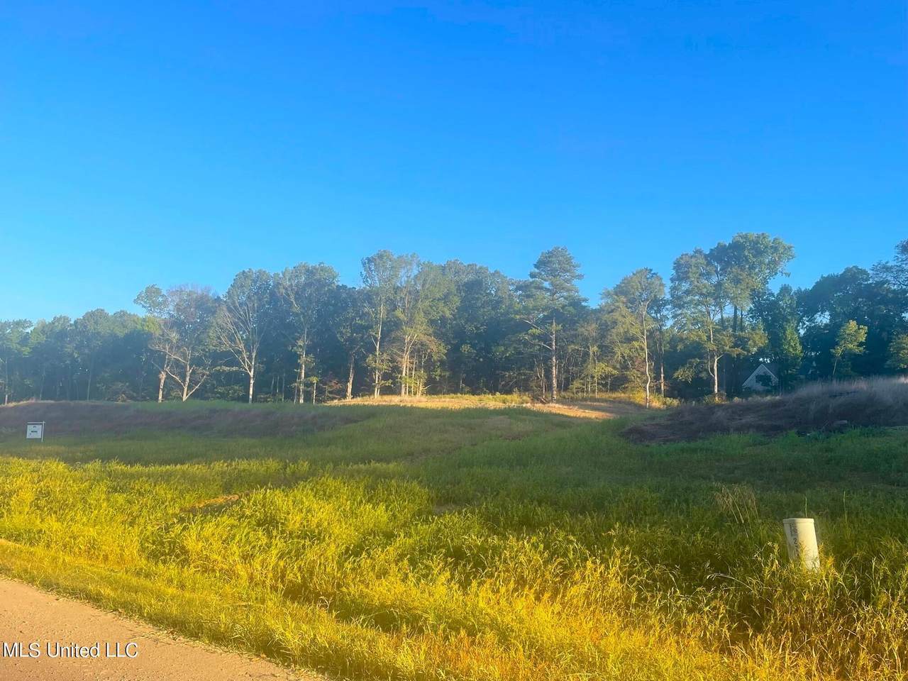 7 Plank Road - Photo 1