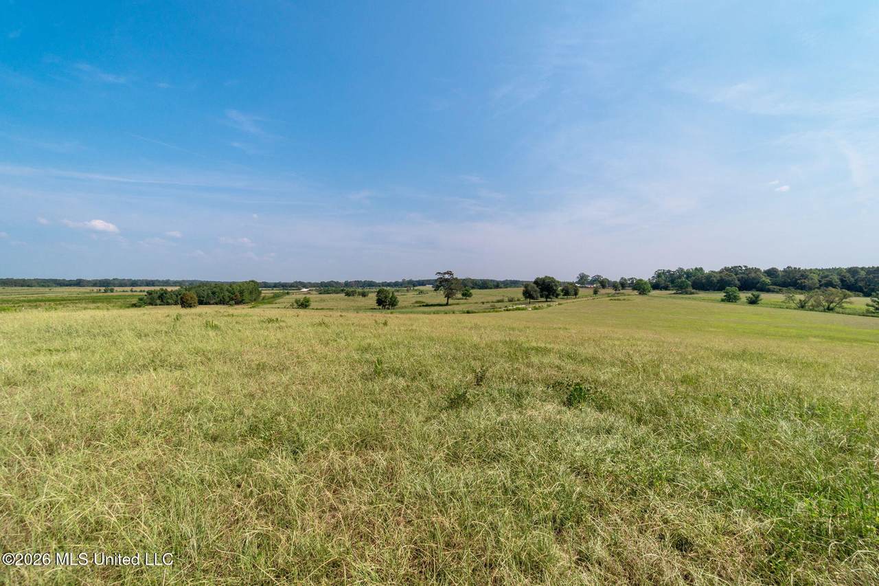 Lot#2 Grady Lewis Road - Photo 1