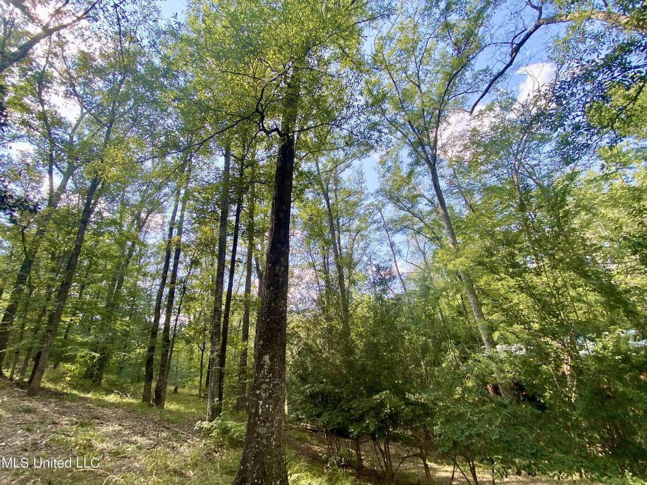 https://bt-photos.global.ssl.fastly.net/united/1280_boomver_1_4143872-2.jpg