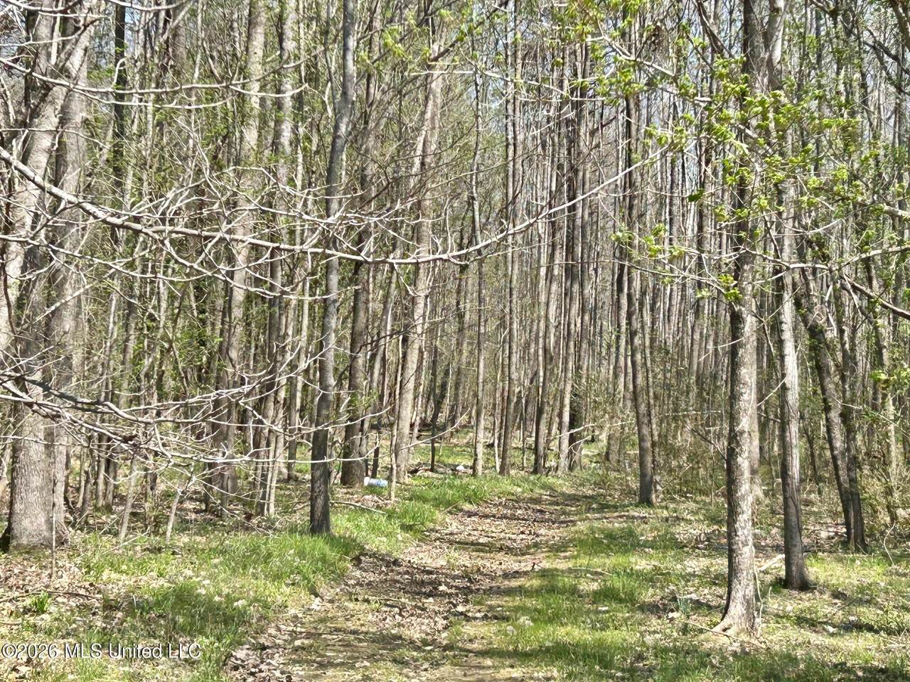 https://bt-photos.global.ssl.fastly.net/united/1280_boomver_1_4143905-2.jpg