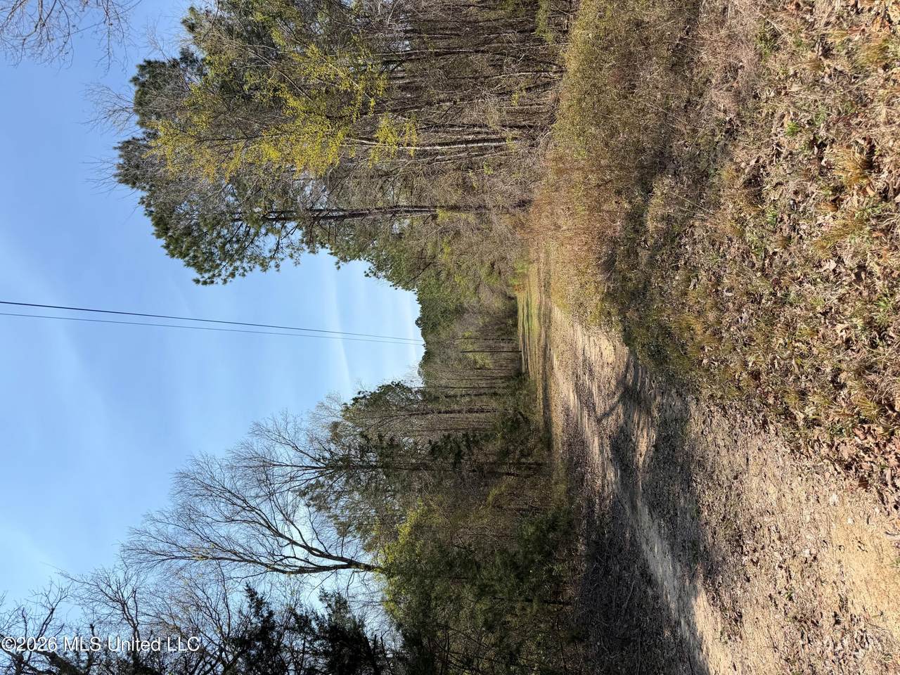 285 Mount Horeb Road - Photo 1