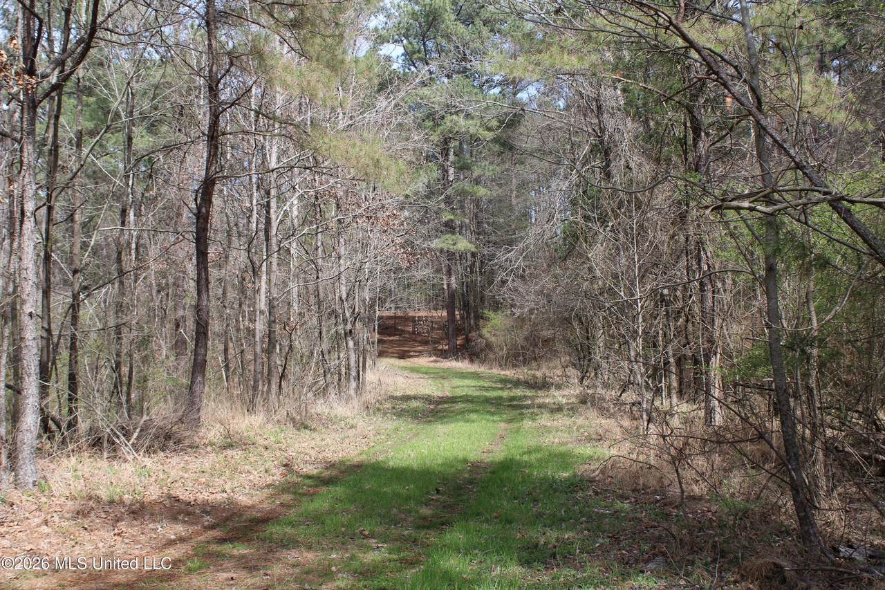 4500 Jaybird Road - Photo 1