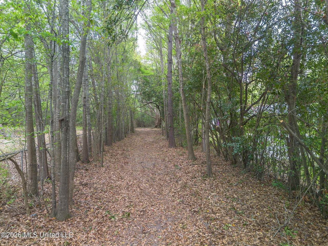 000 Klein Road - Photo 1