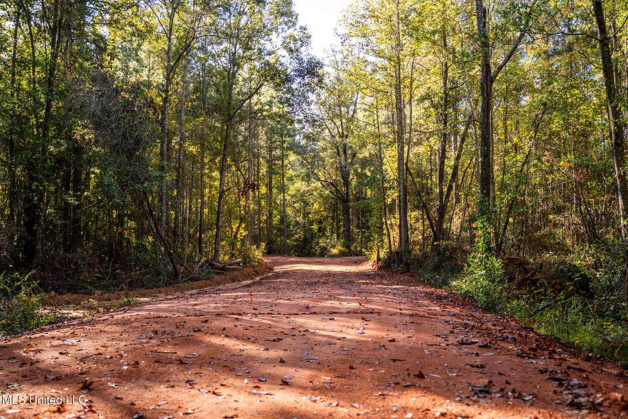  Bolin Long Creek Road - Photo 1