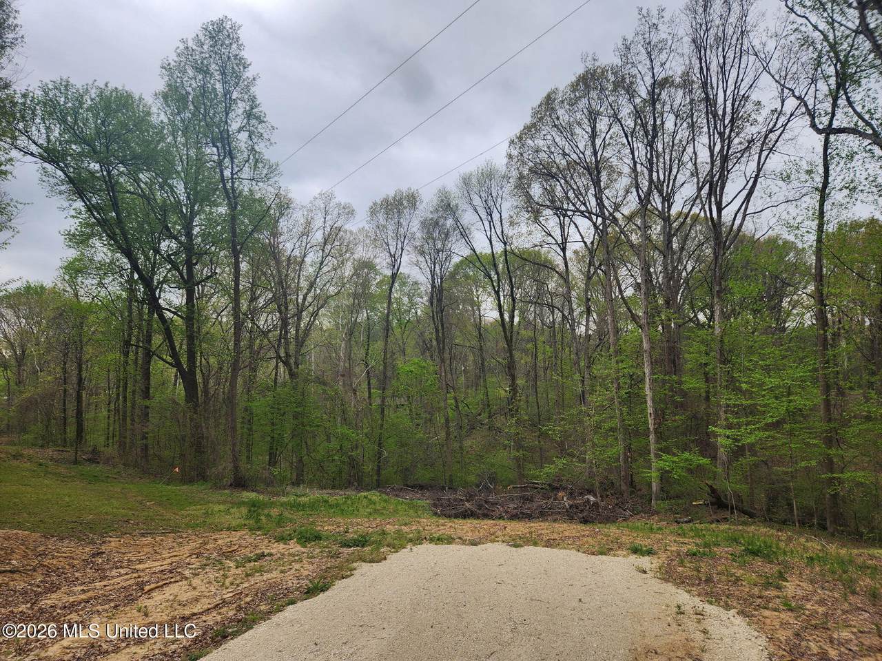 11593 High Road - Photo 1