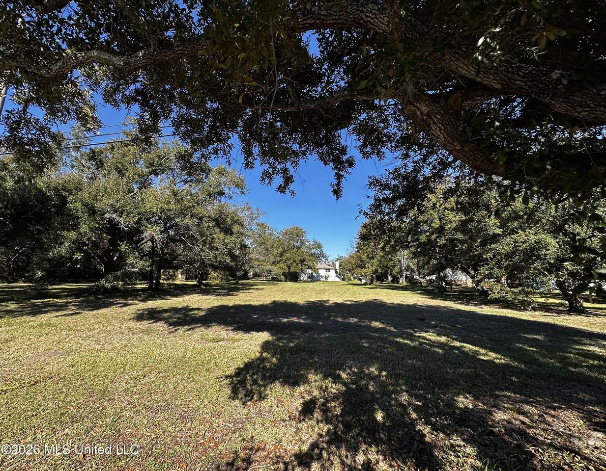 4307 Washington Avenue - Photo 1
