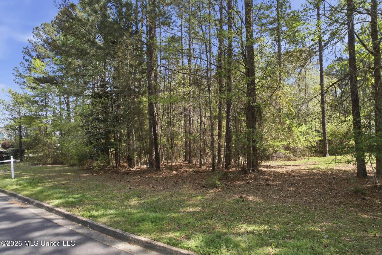 00 Troon Circle - Photo 1