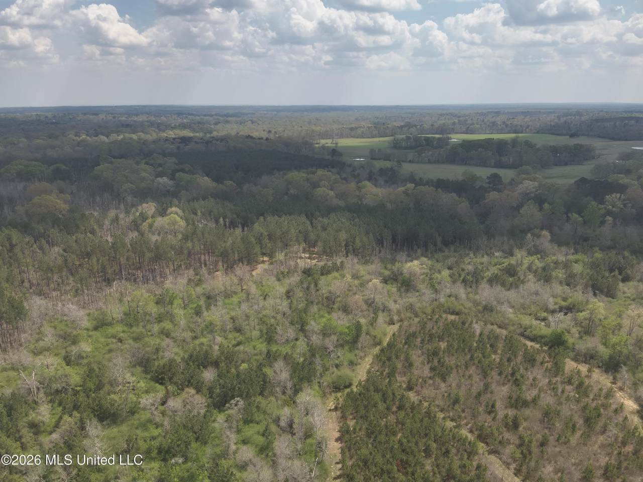 3194 James Road - Photo 1