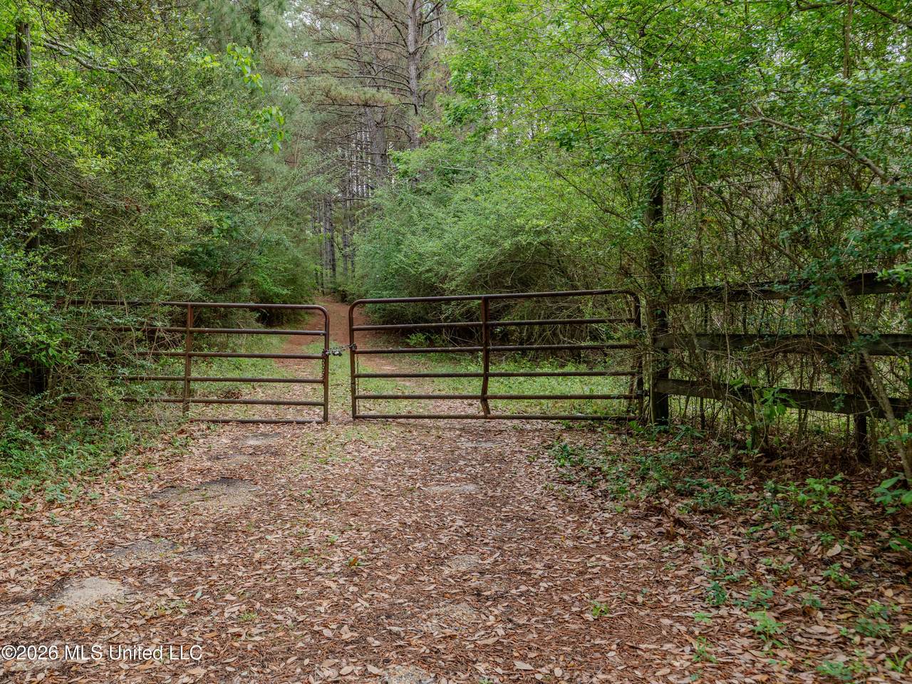 https://bt-photos.global.ssl.fastly.net/united/1280_boomver_1_4144621-2.jpg