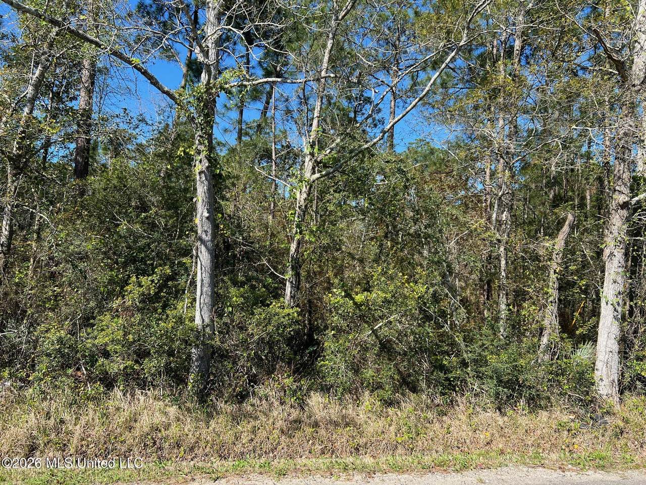 0 Henderson Avenue - Photo 1