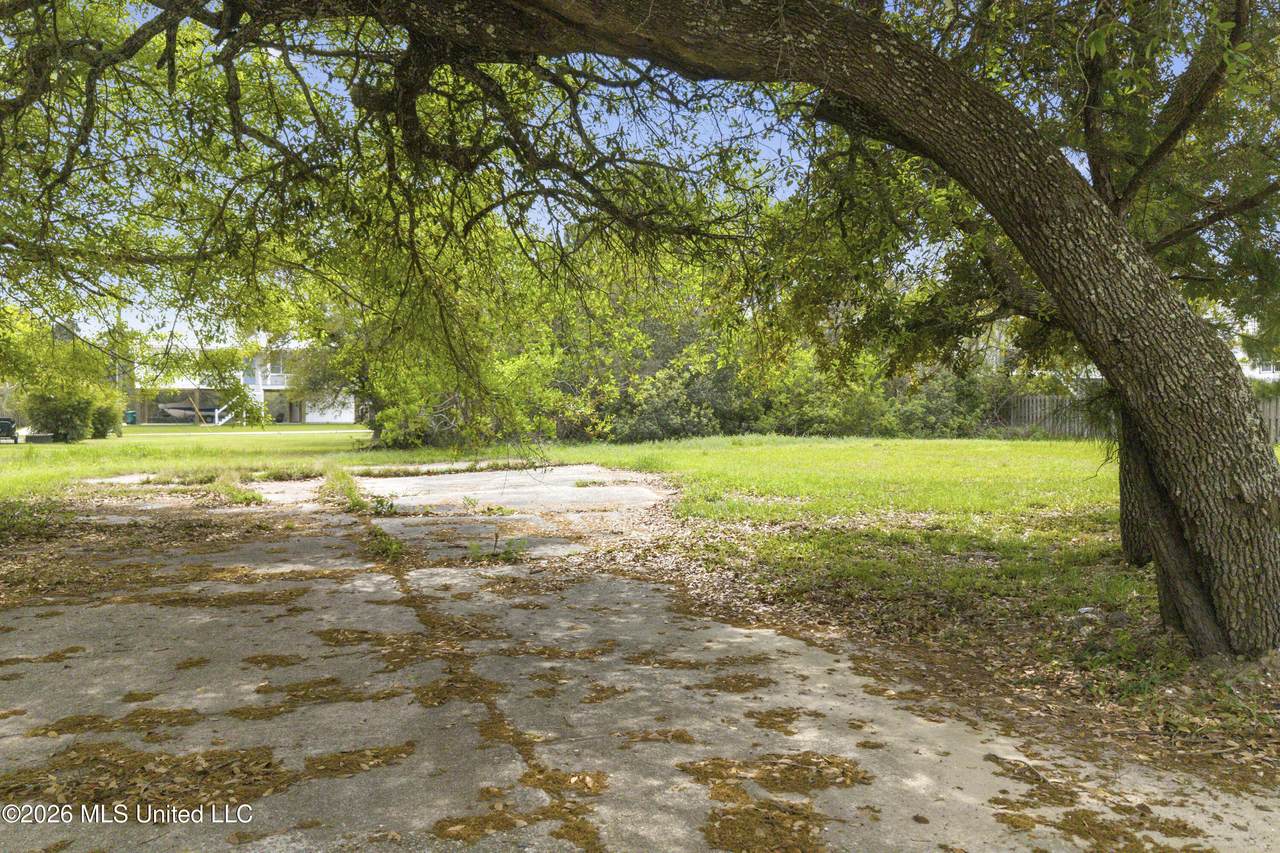 427 Sears Avenue - Photo 1