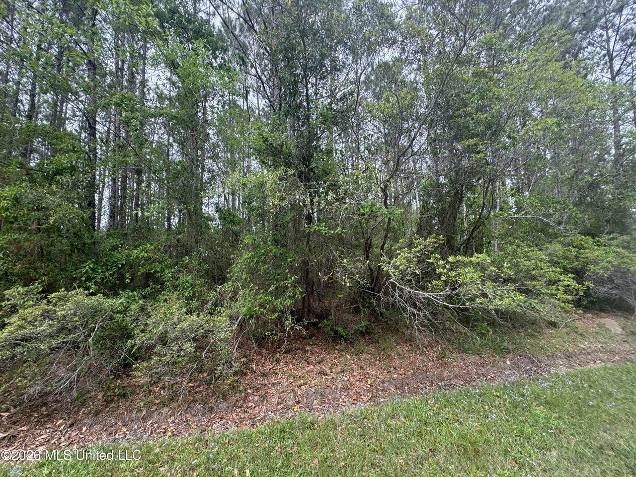 Nsn 8&9 Monroe Street - Photo 1