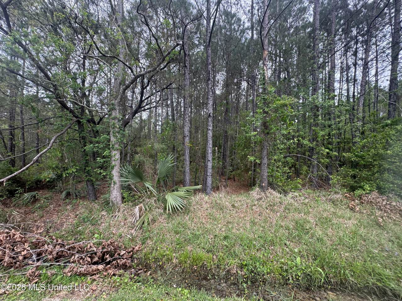 https://bt-photos.global.ssl.fastly.net/united/1280_boomver_1_4144703-2.jpg