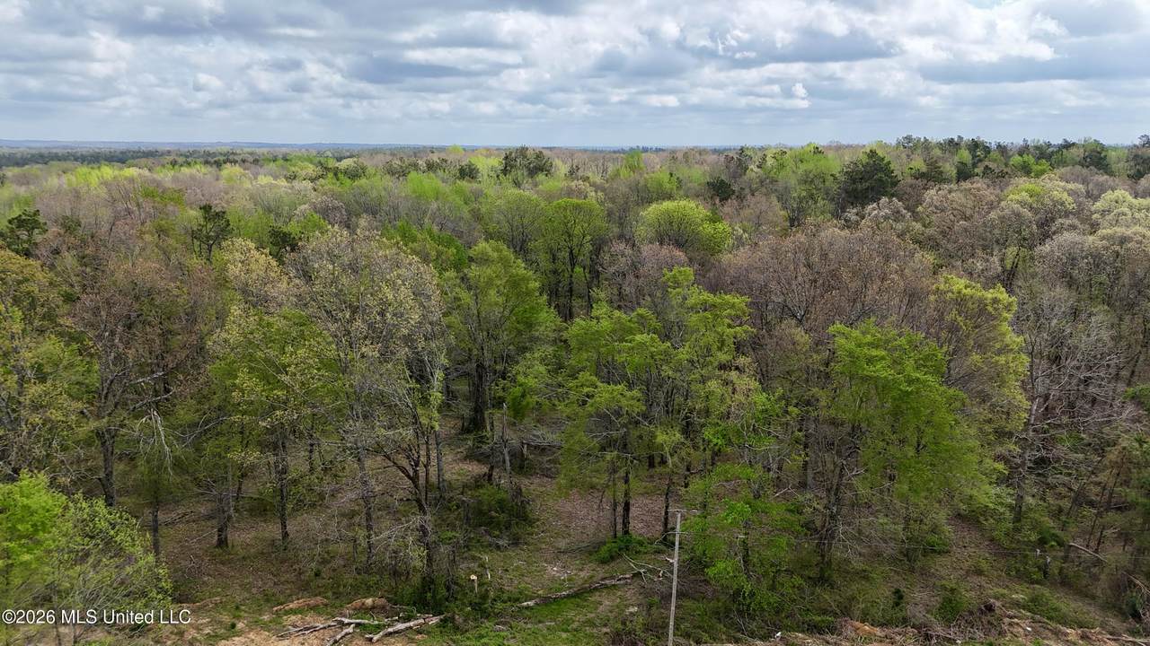  Mississippi 7 - Photo 1