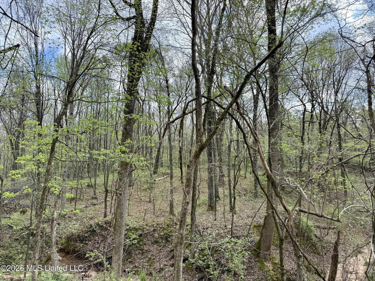 https://bt-photos.global.ssl.fastly.net/united/1280_boomver_1_4144738-2.jpg