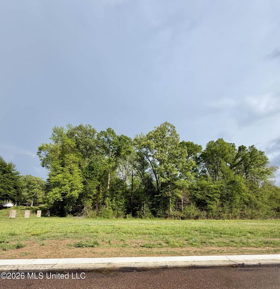 00 Plainview Dr Lot 2 - Photo 1
