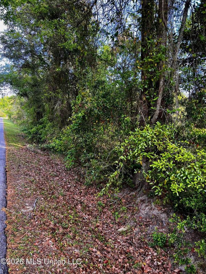  Pine Ridge Drive - Photo 1