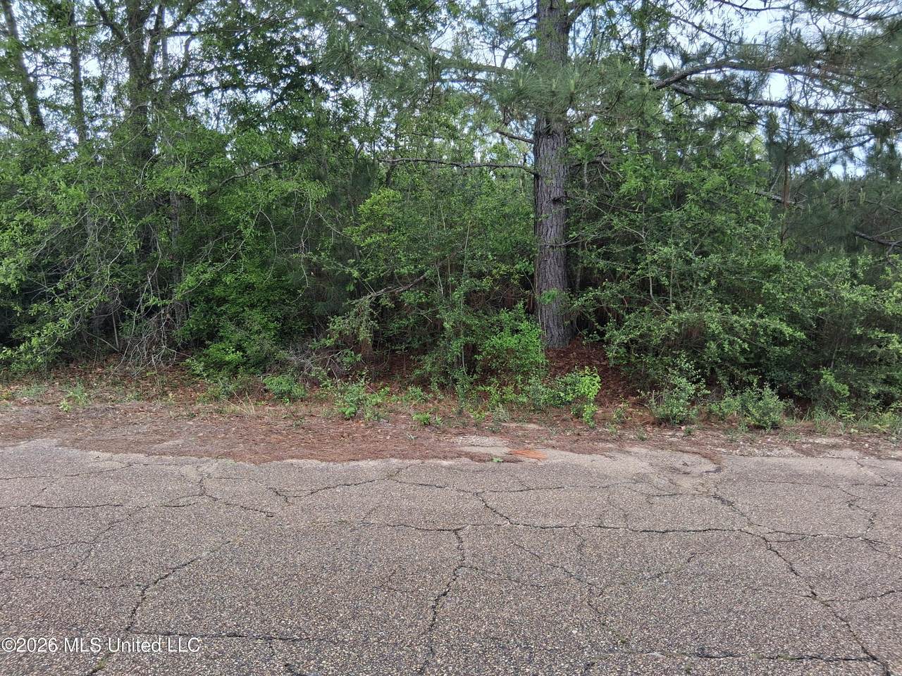 0 Ab Ladner Drive - Photo 1