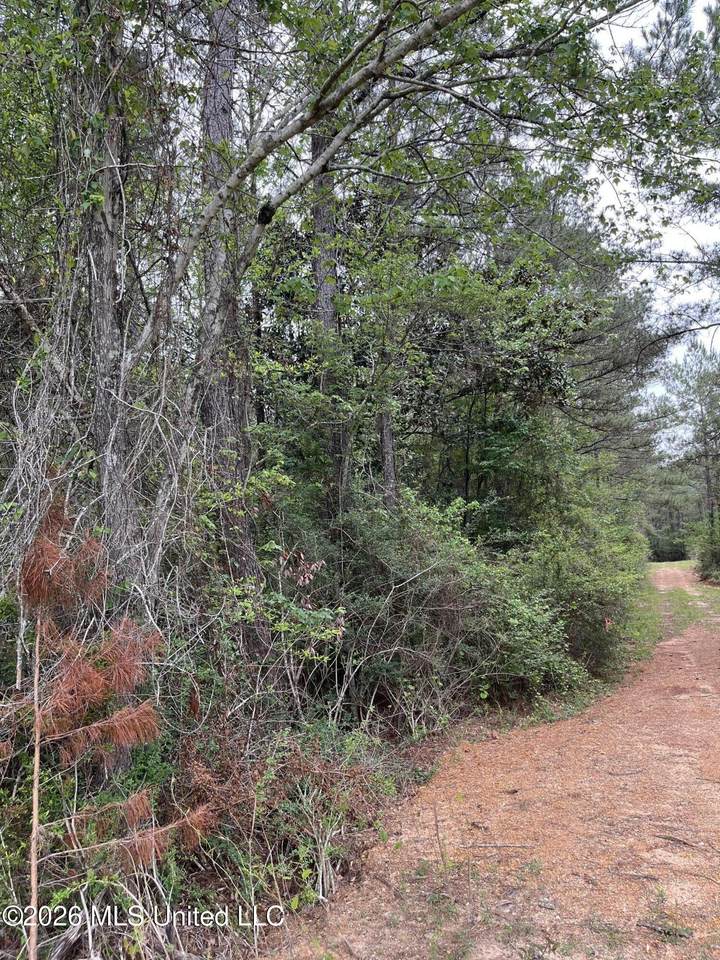  Hwy 49 - Photo 1