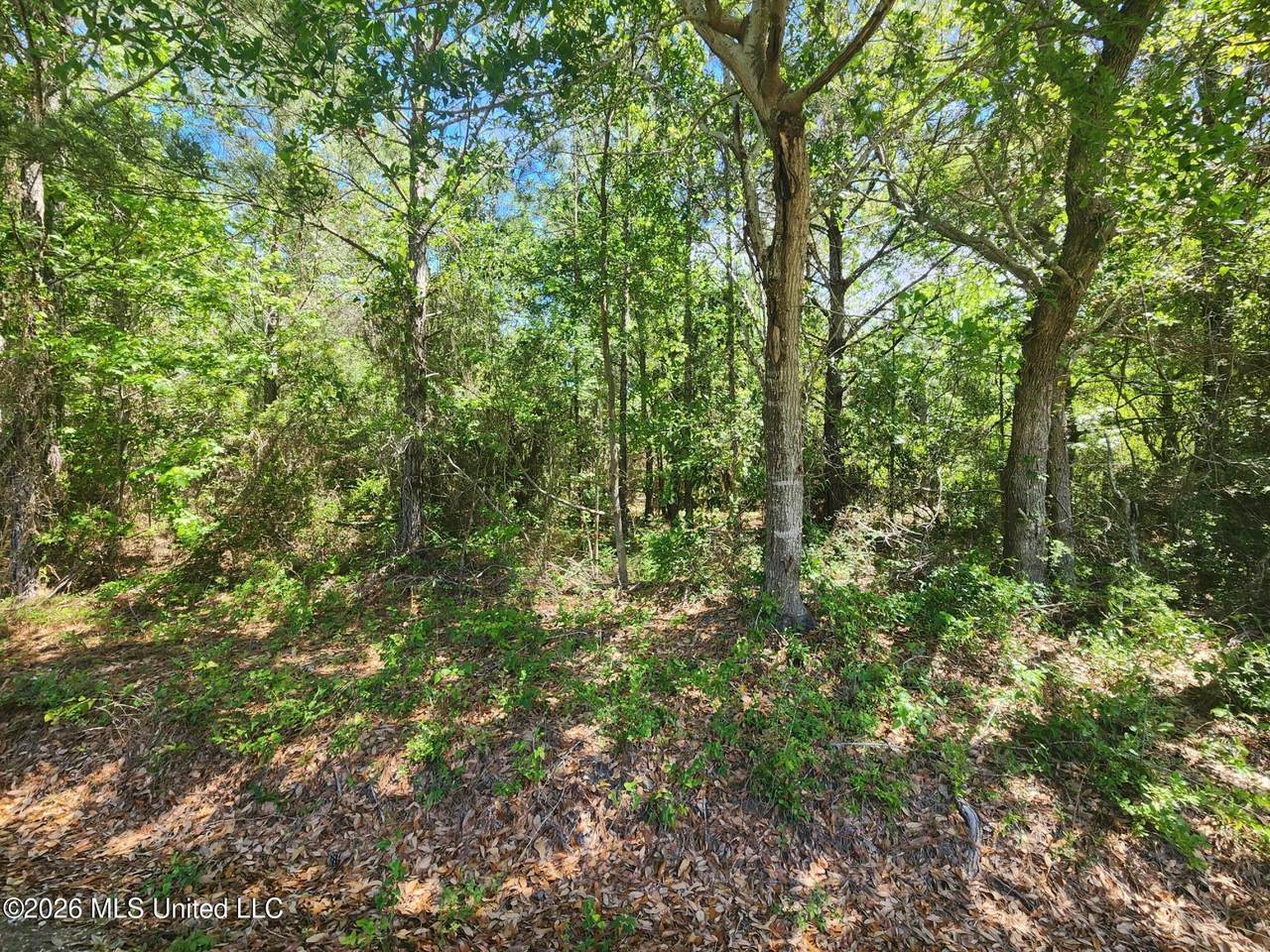 0 Lady Mary Ave Avenue - Photo 1