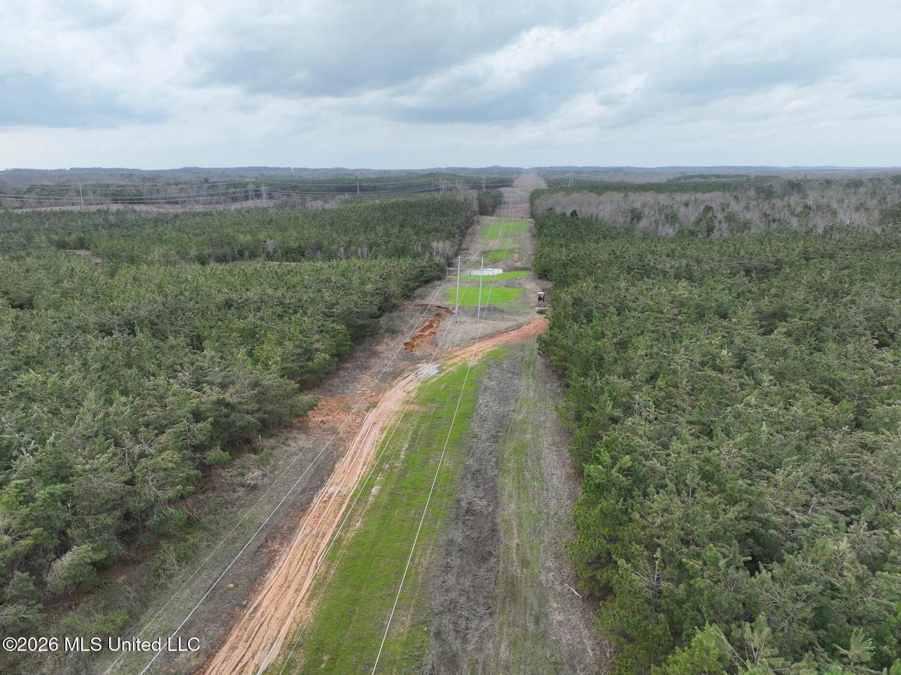 1177 County Road 194 - Photo 1