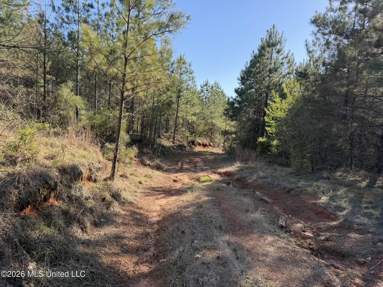  Co Rd 5005 - Photo 1