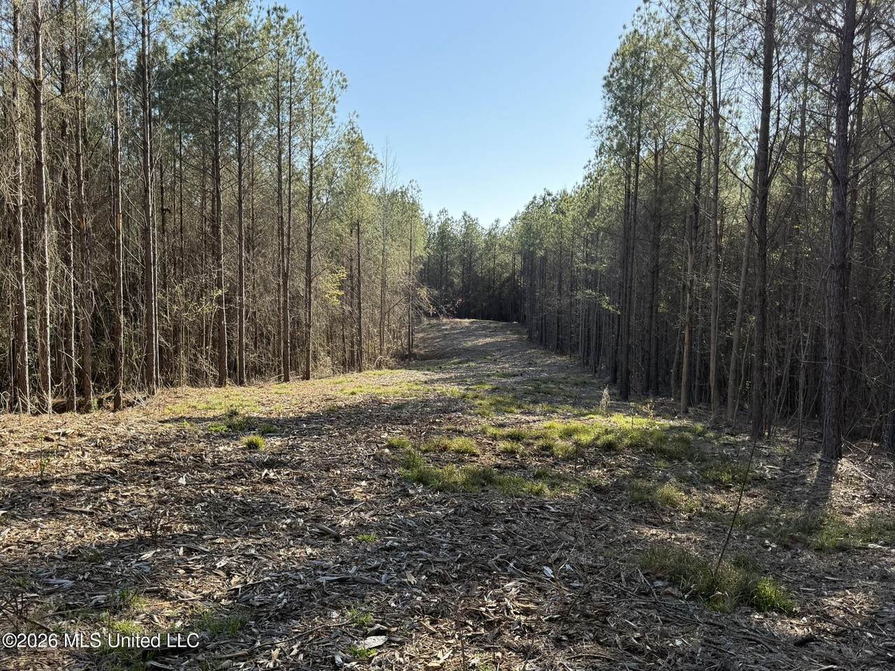 https://bt-photos.global.ssl.fastly.net/united/1280_boomver_1_4145414-2.jpg