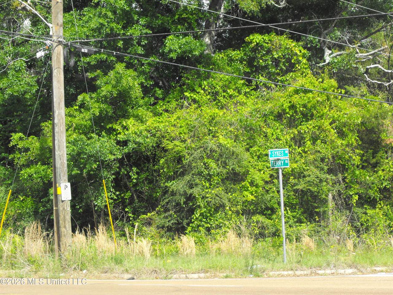  Terry Road - Photo 1