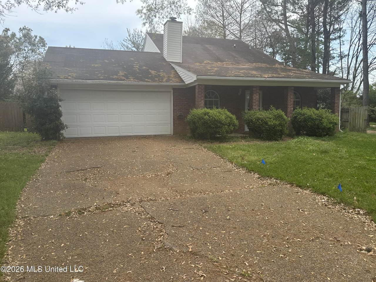 205 Woodbrook Cove - Photo 1