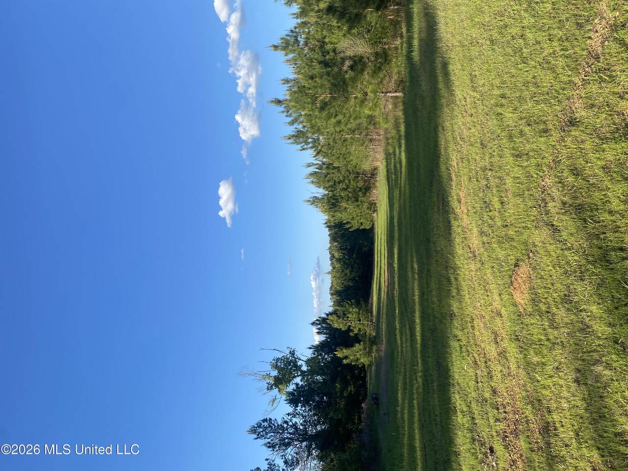 Tbd County Road 48 - Photo 1