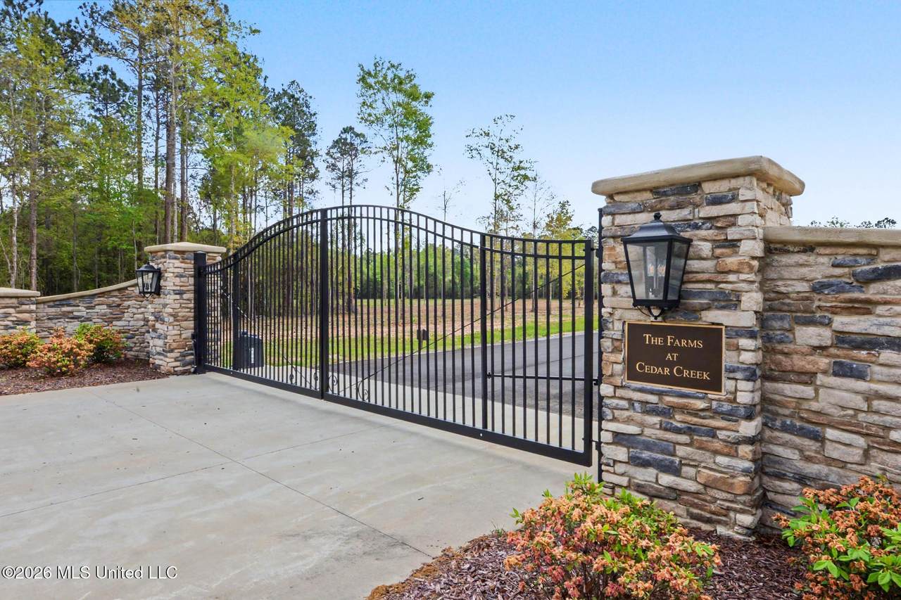 Lot 12 Pine Ridge Lane - Photo 1