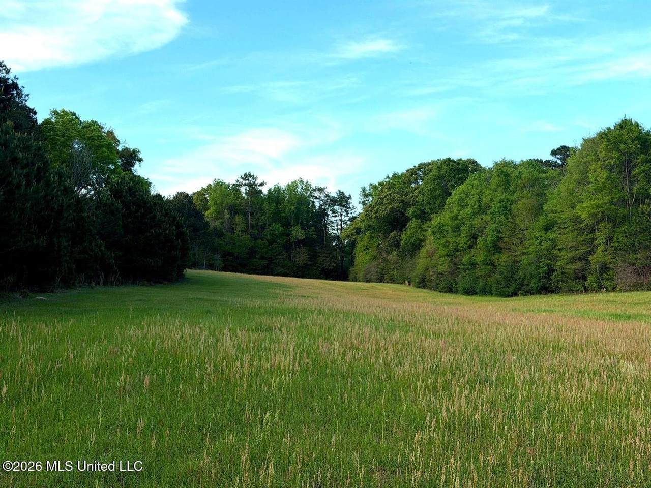 36 Acres Hwy  13 - Photo 1
