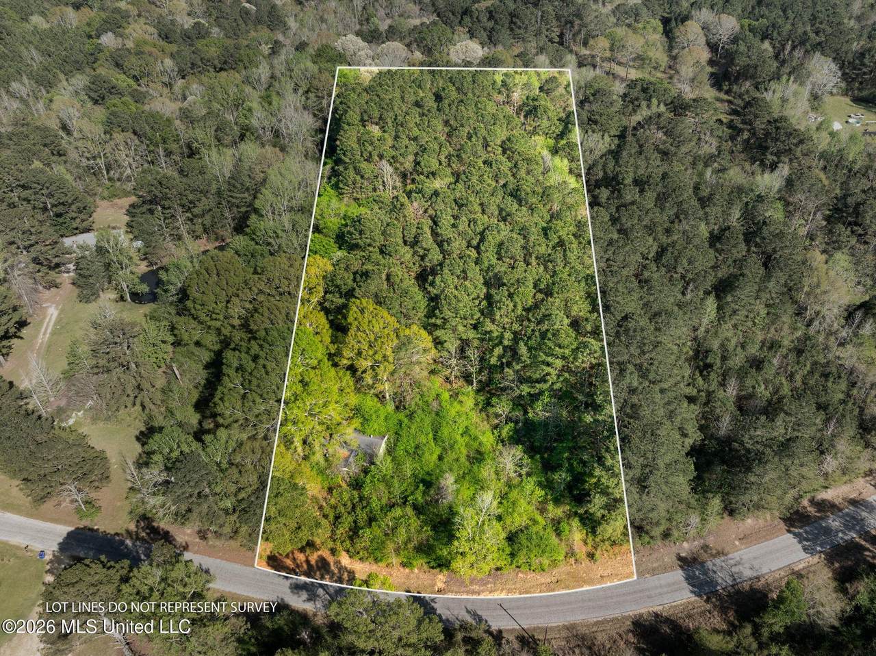 3 Acres Will Barber Road - Photo 1