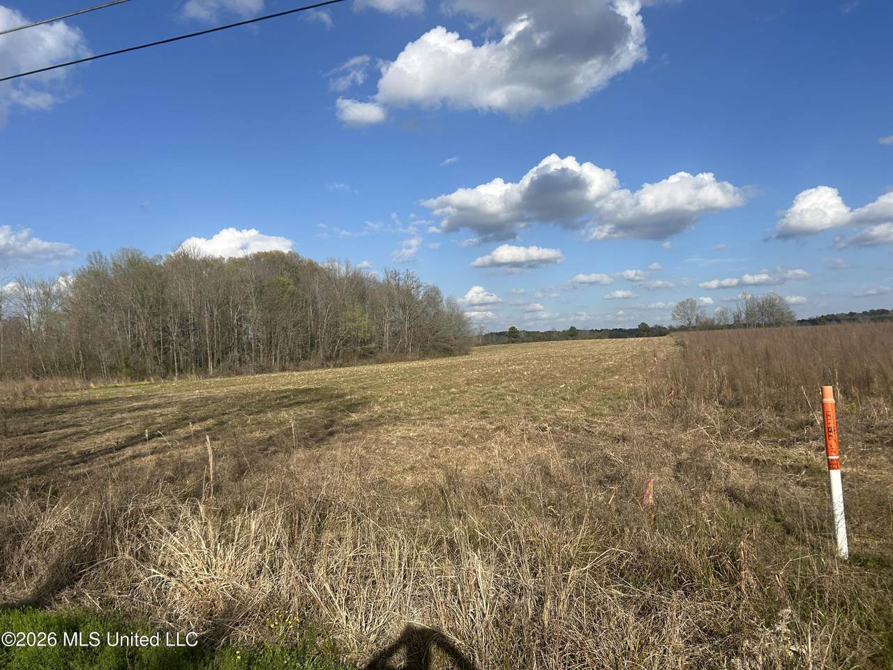  Old Hillsboro Road - Photo 1