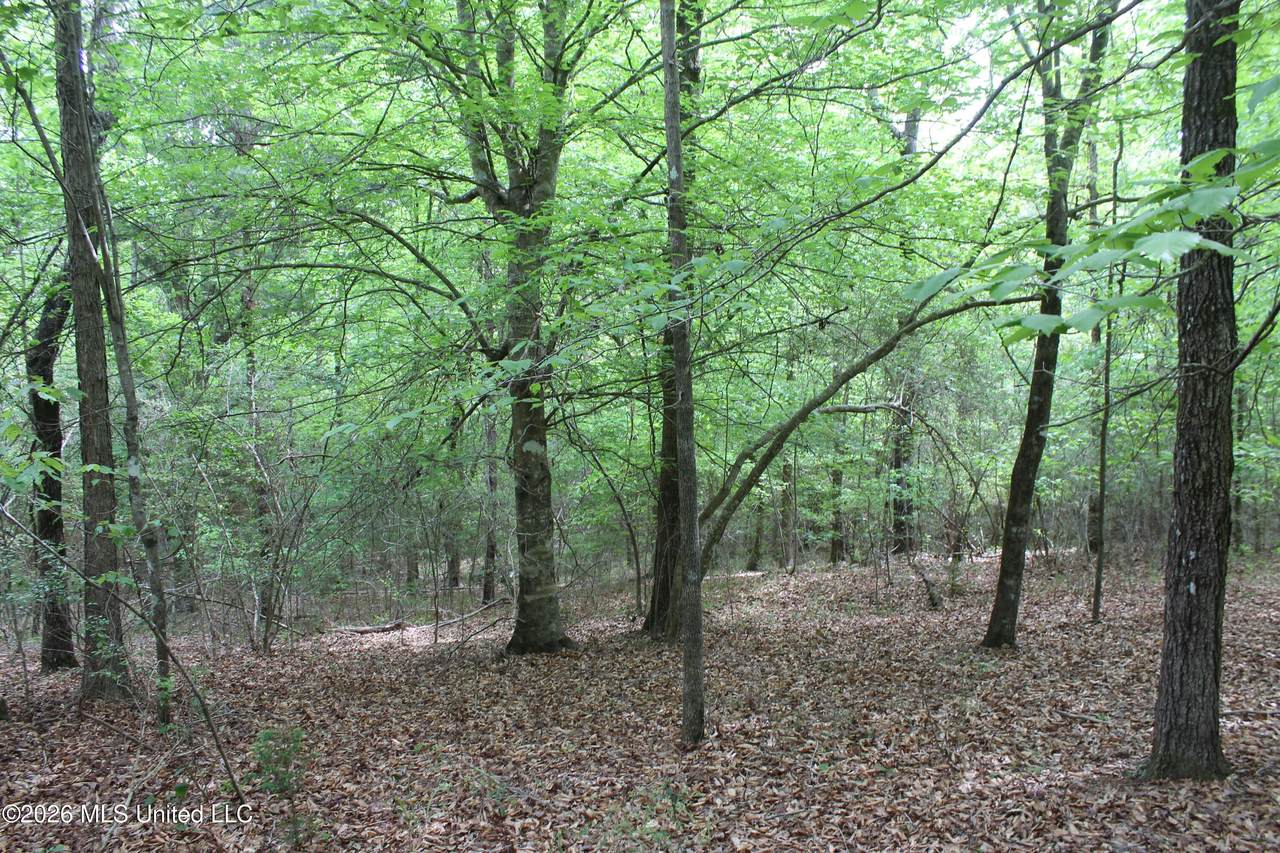 https://bt-photos.global.ssl.fastly.net/united/1280_boomver_1_4145930-2.jpg