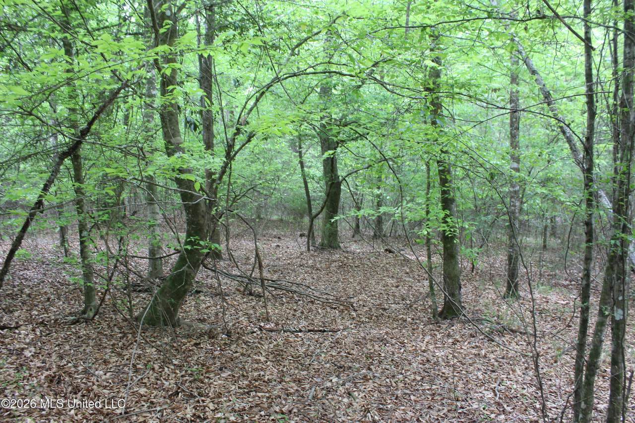 https://bt-photos.global.ssl.fastly.net/united/1280_boomver_1_4145930-2.jpg