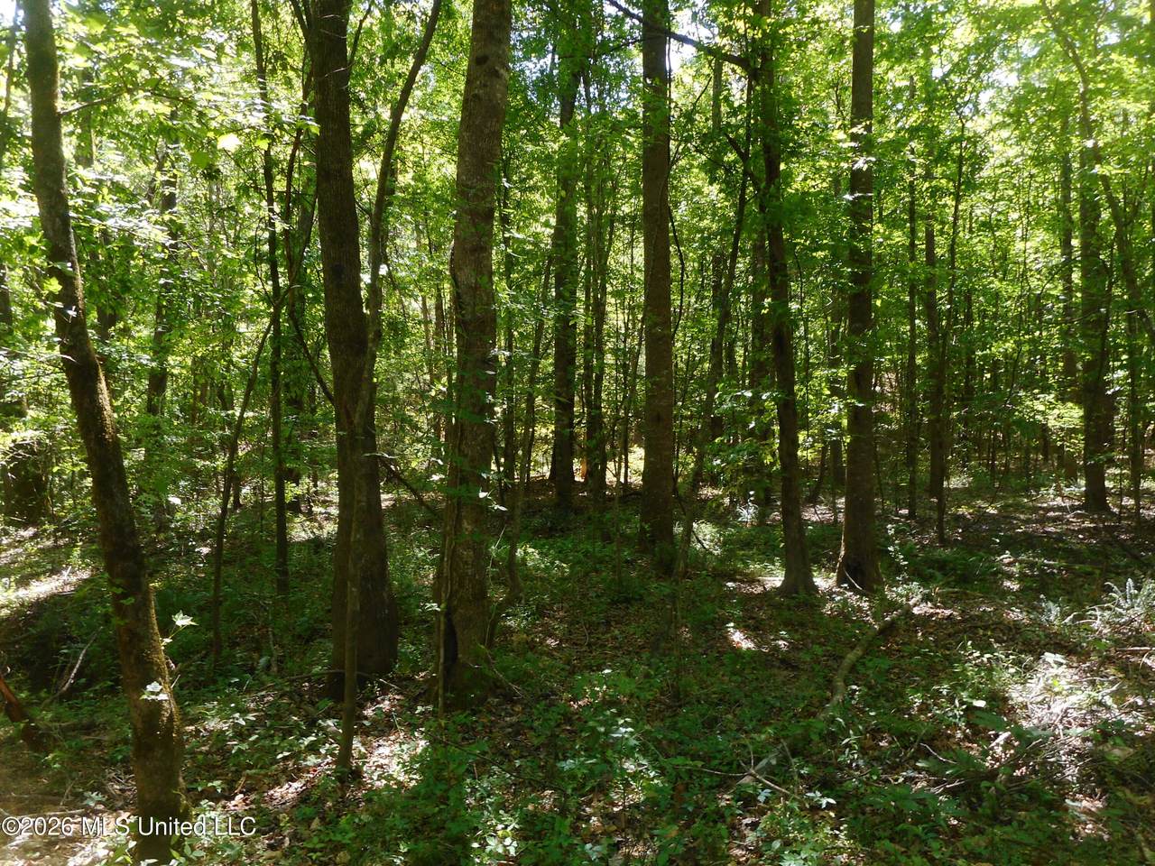 https://bt-photos.global.ssl.fastly.net/united/1280_boomver_2_4145939-2.jpg