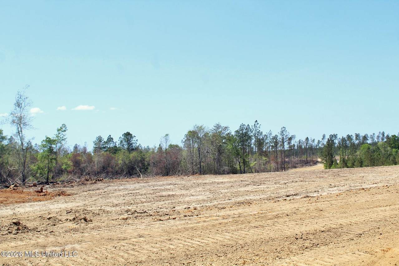 61ac Little Cedar Road - Photo 1